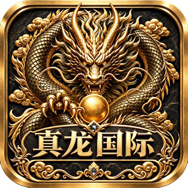 真龙国际